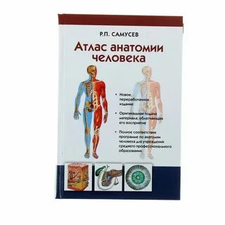 Практические работы по анатомии человека