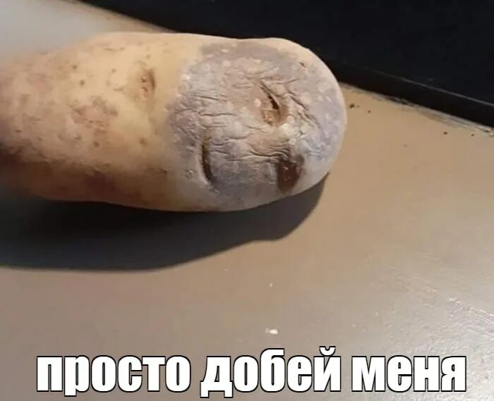 Высохший мем. Высохший мем
