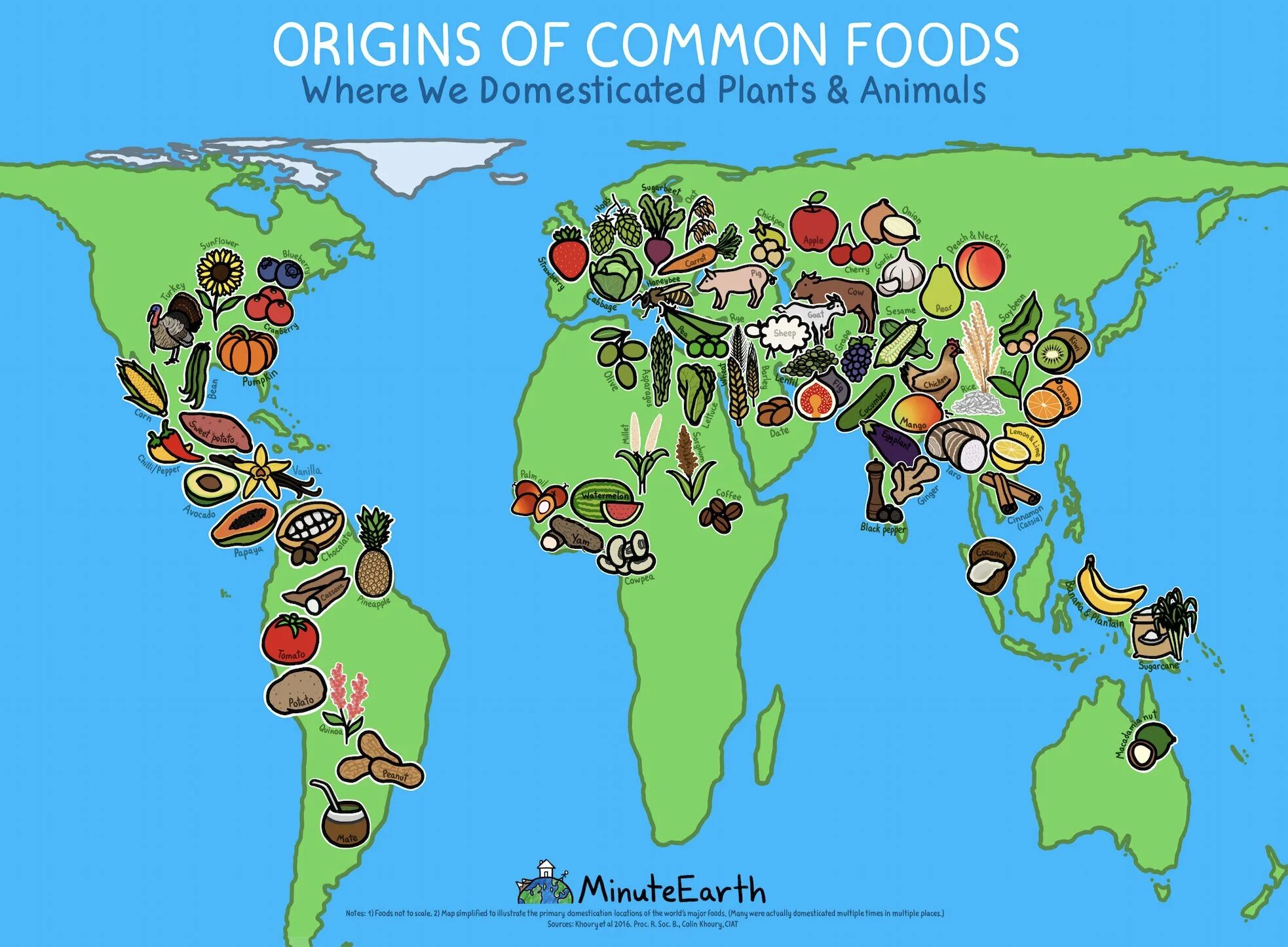 Origin of Plants. World food Map. Origin of food. A Map of the World's Centers of Origin of domestic animals. Plant origin