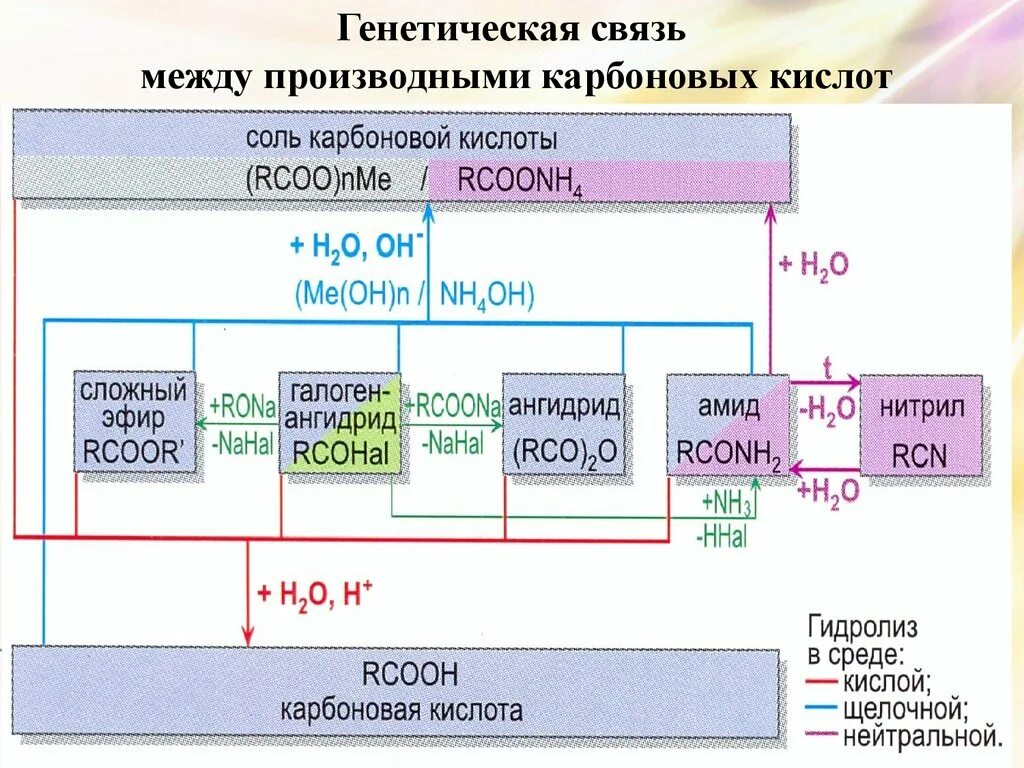 Генетическая связь кислот