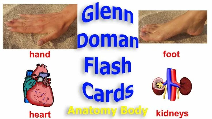 Foot по английски. Glenn Doman Cards in English. Body Parts. Feet на английском. Foot English Cards.