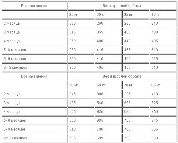 Мясо в 6 месяцев. Норма корма для щенка шпица 3 месяца. Норма корма для щенка шпица 2.5 месяца. Таблица кормления щенка корги. Норма сухого корма для щенка корги 6 месяцев.