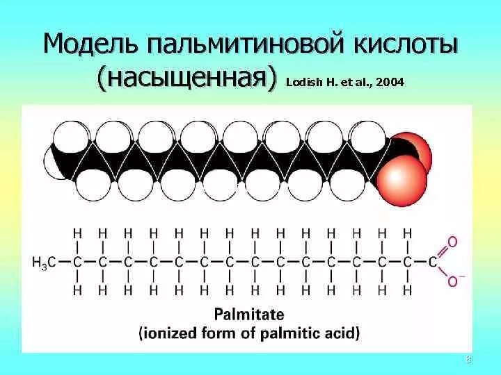 Пальмитиновая кислота кислота формула. Пальмитиновая структурная формула. Пальмитиновая кислота олеиновая кислота.
