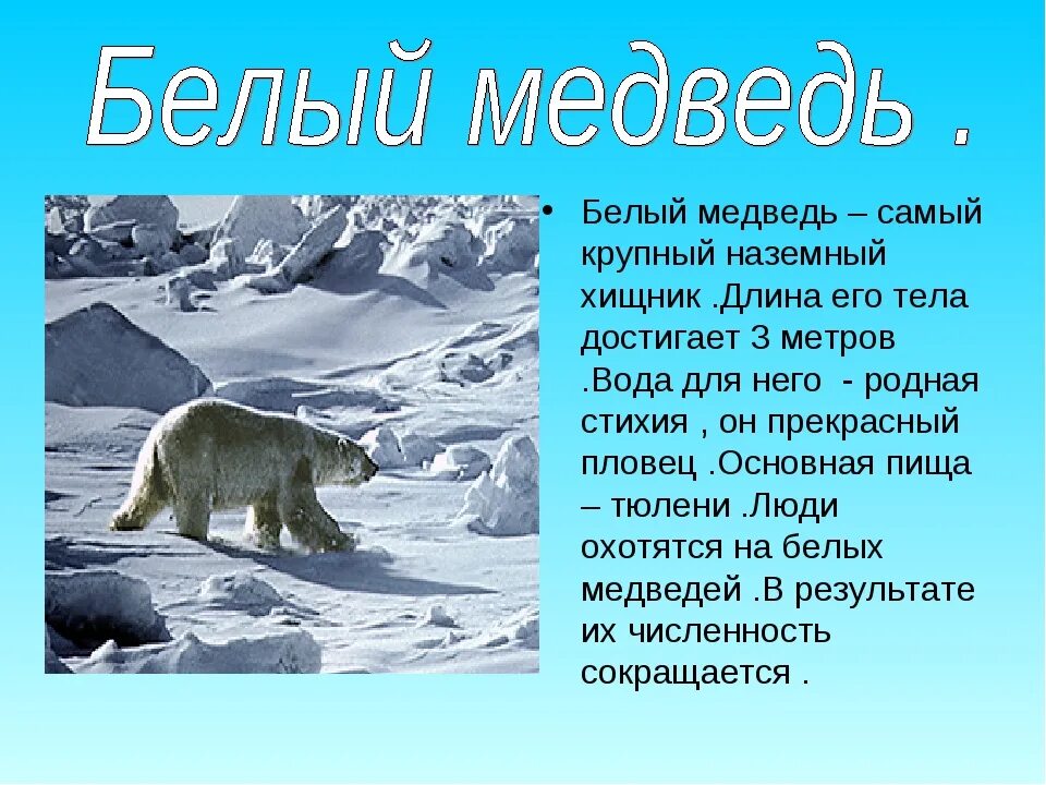 Подготовить сообщение о животных. Доклад о животном из красной книги. сообщение о животных из красной книги 3 класс. доклад о животном из красной книги 2 класс окружающий мир. рассказ о животном из красной книги 2 класс.