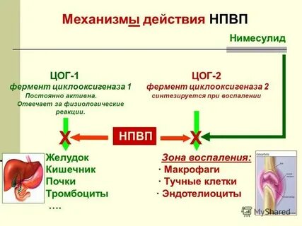 Избыточная блокада цог 2