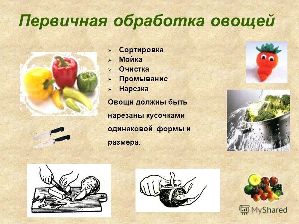 формы нарезки из овощей. технология приготовления блюд из овощей и фруктов. овощи урок технологии. первичная обработка овощей и фруктов. овощи урок технологии.