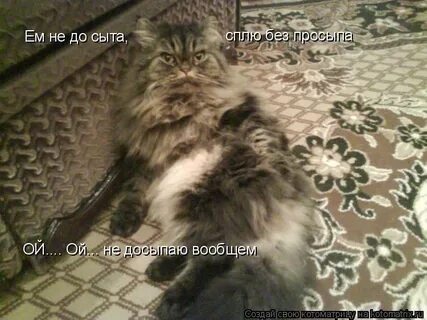 Без просыпа как пишется