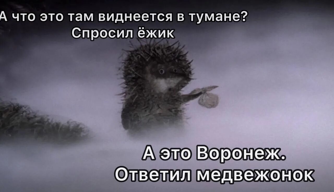 Ежик бамбалейла. «ёжик в тумане» юрия норштейна. норштейн ежик в тумане. норштейн ежик в тумане иллюстрации.