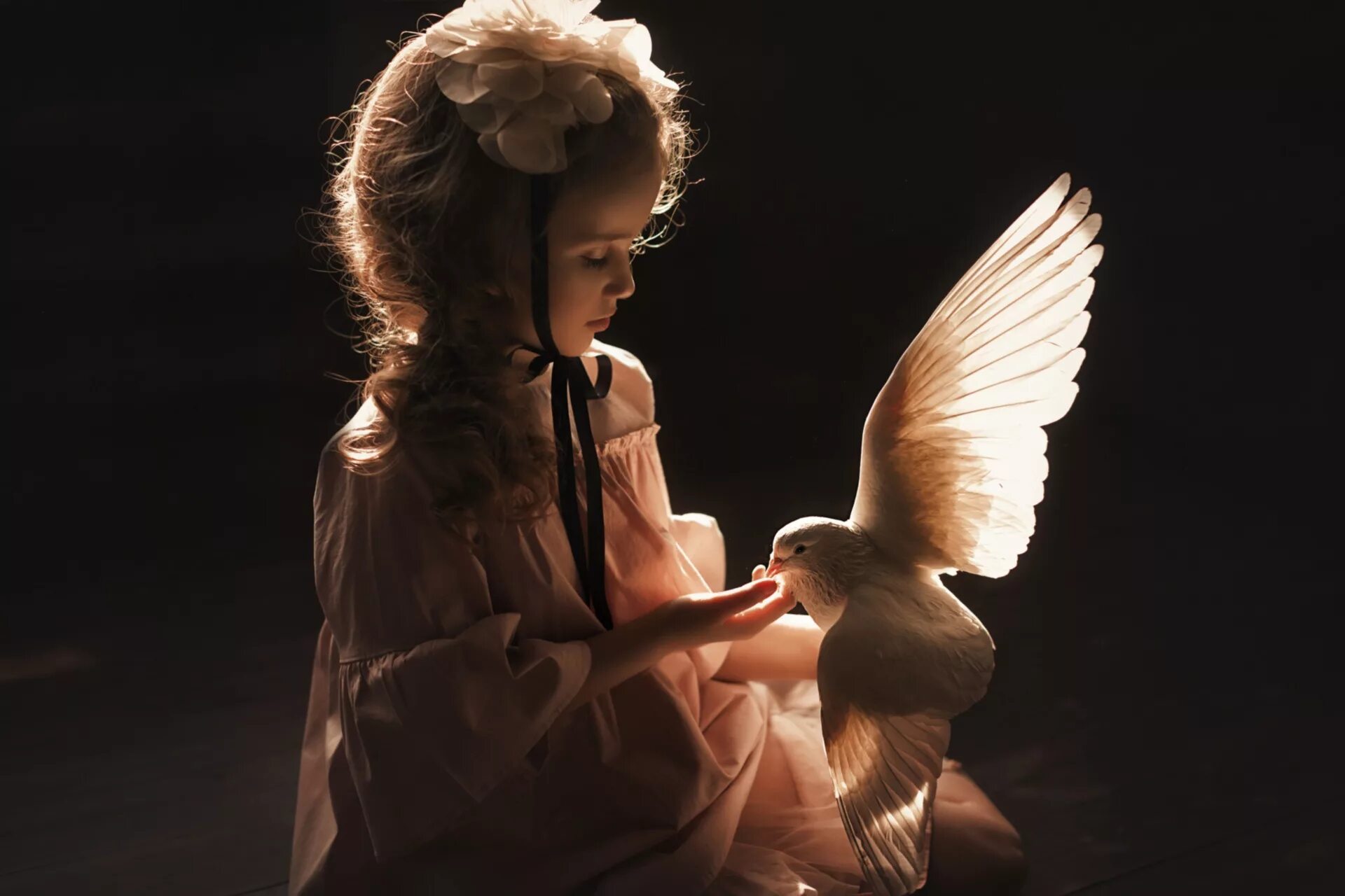 Белая птица новое чудо сюжет. Девочка с голубем. Девушка с птичкой. Фотосессия с голубями. Девушка с голубем в руках.