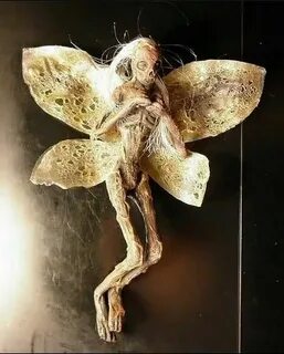 Есть ли феи на самом деле или это сказка: смотрите и ...