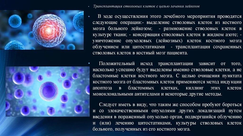 Нейральные стволовые клетки маркеры. Трансплантация стволовых клеток. Стволовые клетки костного мозга. Функции стволовых клеток.