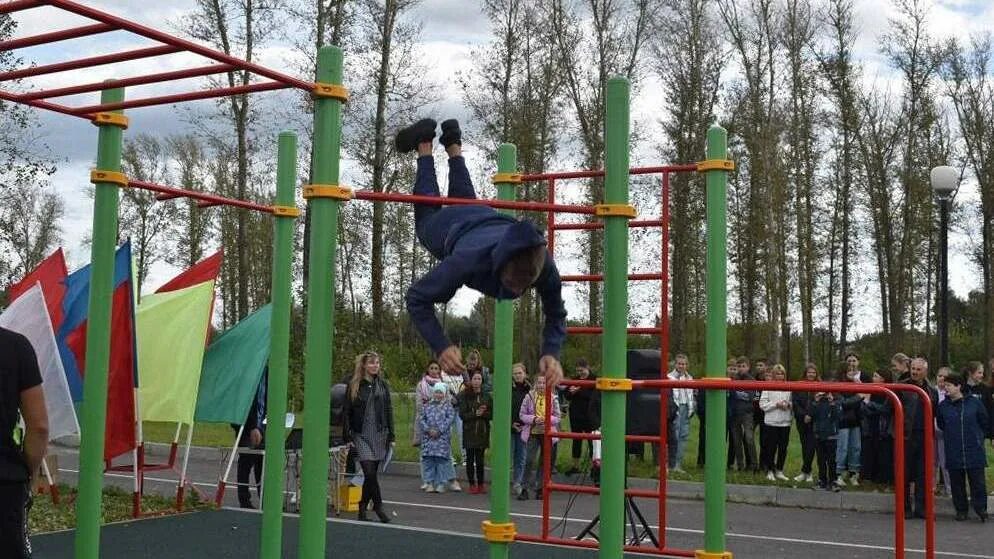 Семейный парк шилово воронеж. Нерский парк шилово. Шилово парк. Моховская школа открытие площадки. Шилово парк.