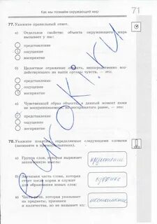 Системы объектов информатика 6 класс тест