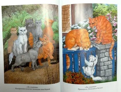 Коты воители лес секретов