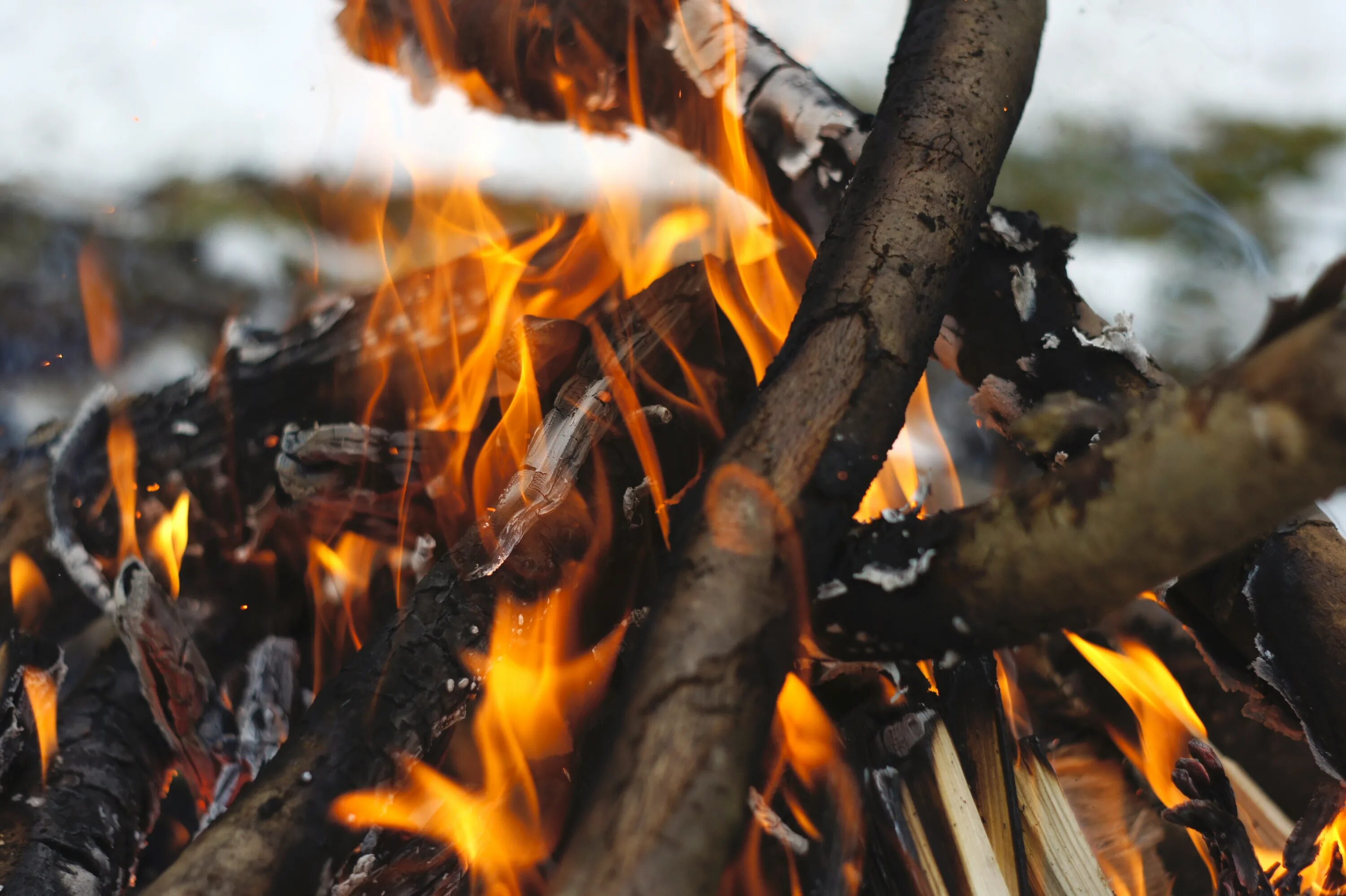 Тепло от костра передается людям. Горящие деревья. Горящее дерево. Догорающий костер. Сгоревшее дерево.