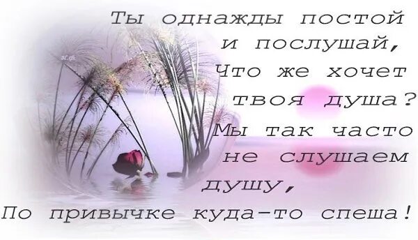 А ты постой постой сердце. Ты однажды сядь и послушай что же хочет твоя душа. Весны вашему сердцу тепла вашей душе. Ты однажды постой и послушай. Весны вашему сердцу тепла вашей душе картинки.