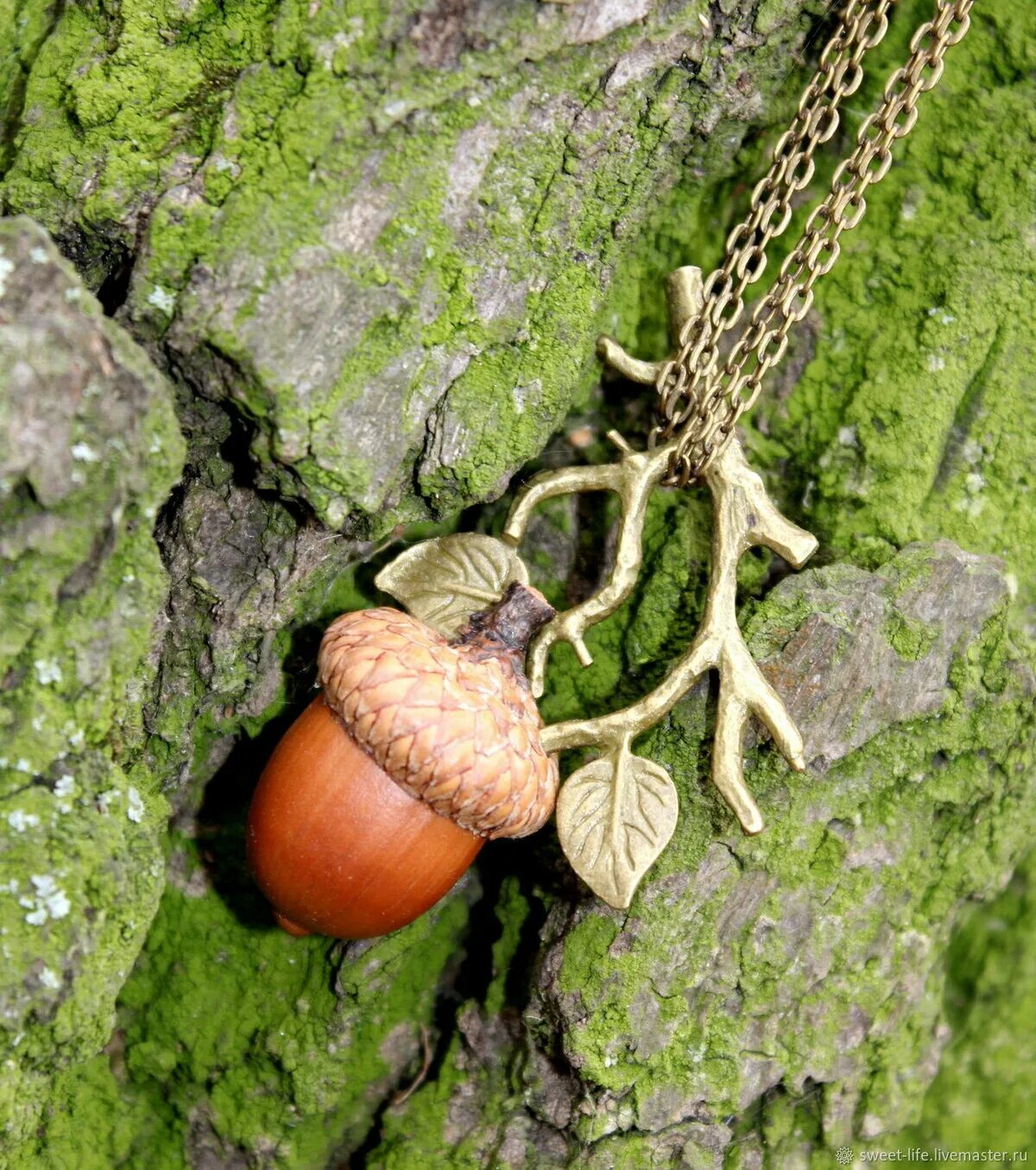 желудь символ. желудь символизирует. желудь символизирует. желудь талисман. осень желуди.