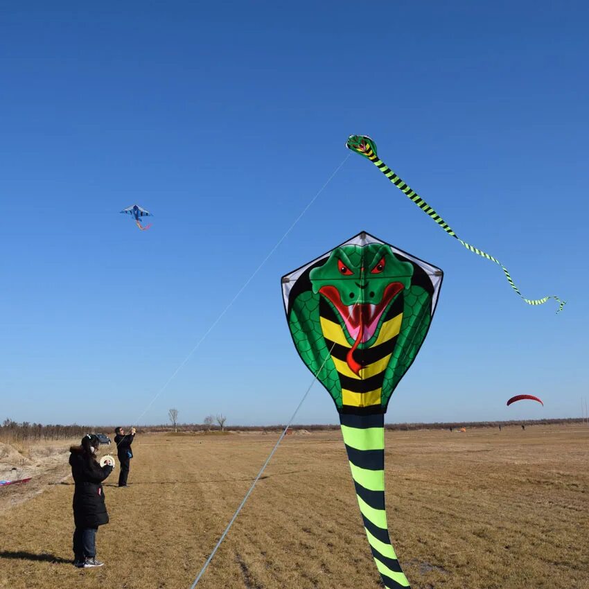 Воздушный змей Yiwu kr-9848. Сорокапятиметровая Кобра воздушный змей зеленая Кобра. Необычный воздушный змей. Ли воздушный змей