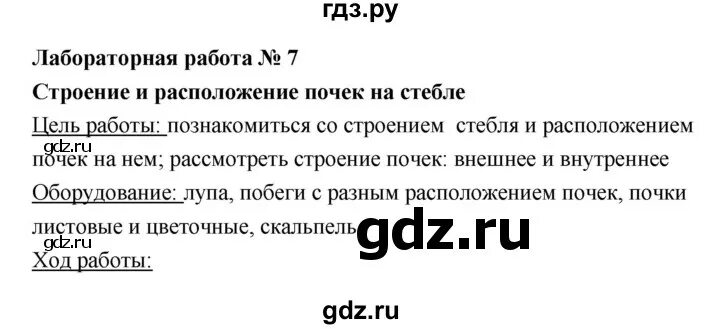 Лабораторная работа простейшие 7 класс. Лабораторная работа простейшие 7 класс