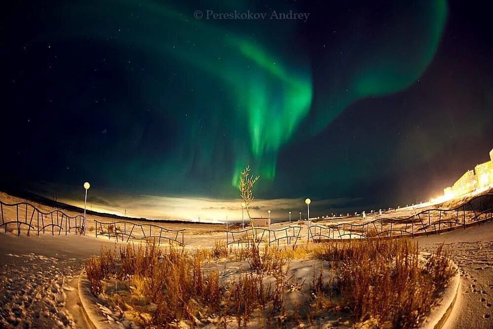 северное сияние в городе норильск. талнах город полярная ночь. норильск северное сияние талнах. полярная ночь в норильске. город полярный норильск.