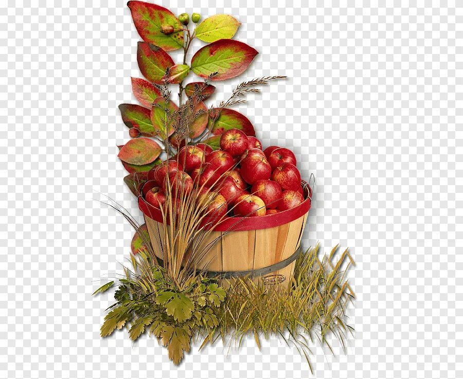 Флера яблоки. Корзинка с яблоками. Корзина с урожаем. Осенние яблоки на прозрачном фоне. Осень урожай.