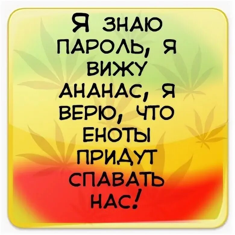 Я верю что еноты придут спасать нас. Я знаю пароль я вижу ананас я верю что еноты придут спасать. Я знаю пароль я вижу ананас я верю что еноты придут спасать нас текст. Я знаю пароль я вижу ананас. Я верю что еноты придут спасать нас.