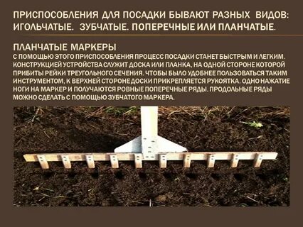 Приготовлен для посадки