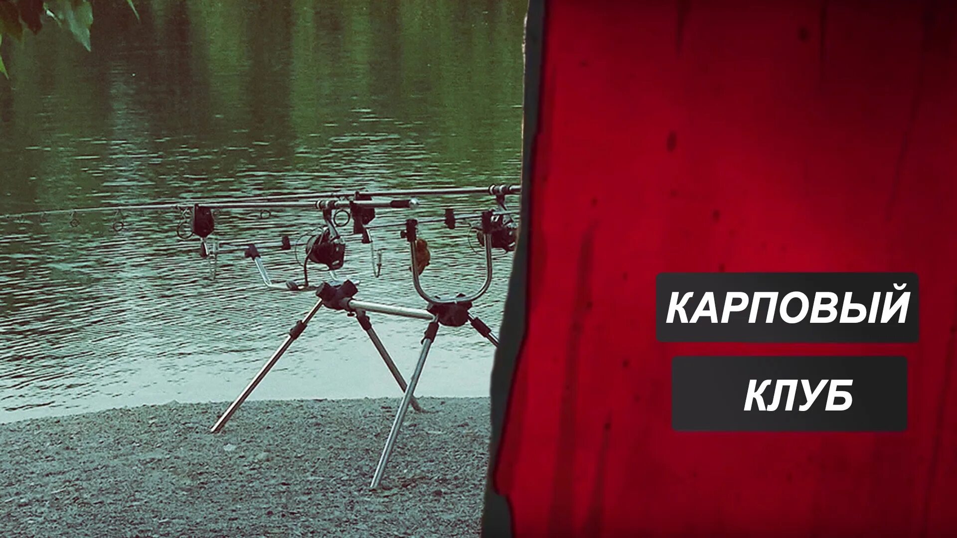 телепрограмма 2014. новороссия программа телепередач. программа передач на сегодня дикая рыбалка. журнал тв парк реклама. дикая рыбалка hd.