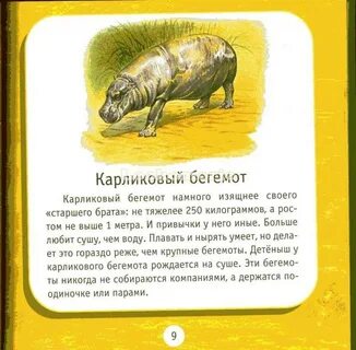 Бегемот книга