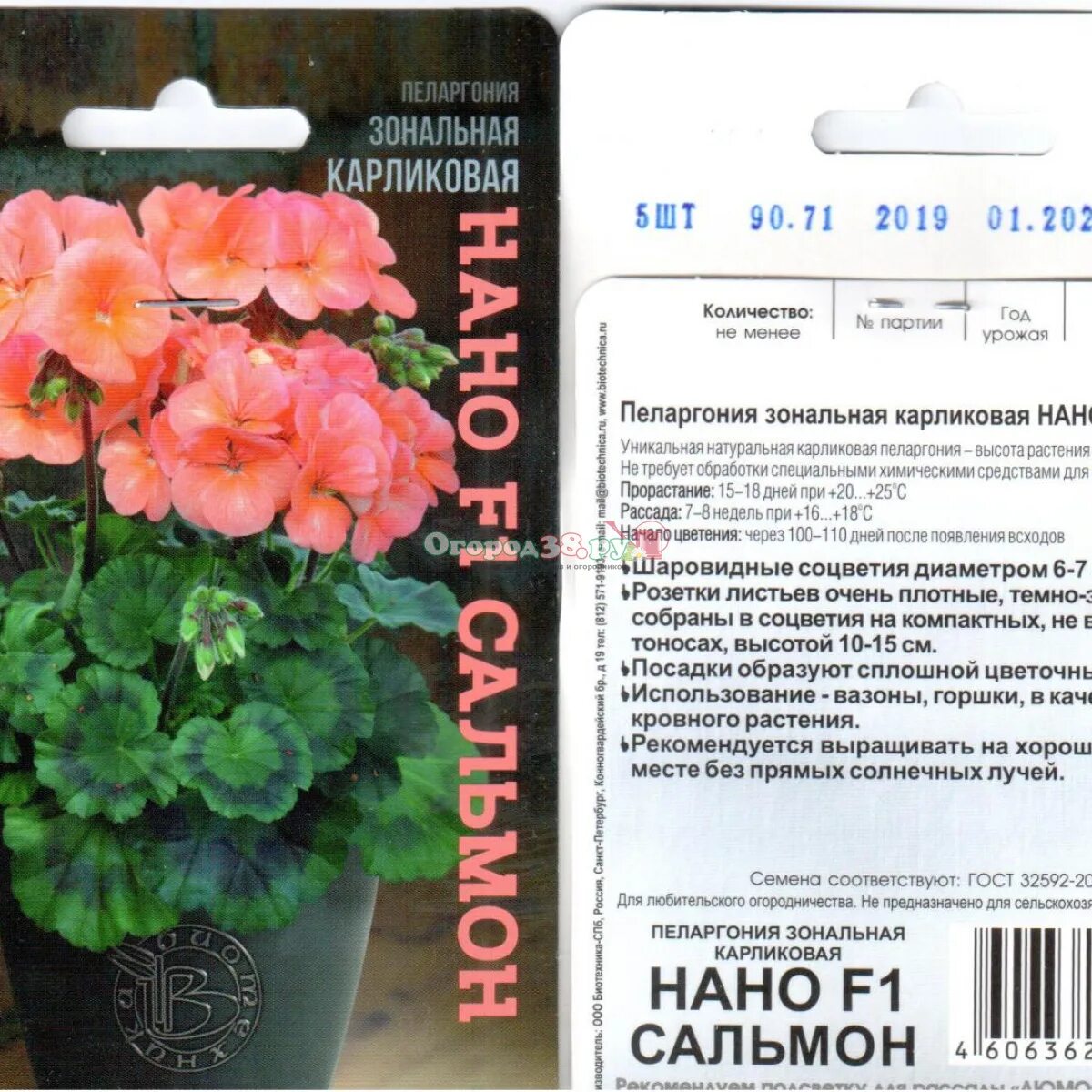 пеларгония нано эплблоссом карликовая. пеларгония нано f1 эплблоссом. пеларгония нано отзывы. пеларгония нано лососевая семена алтая. пеларгония нано f1 эплблоссом.