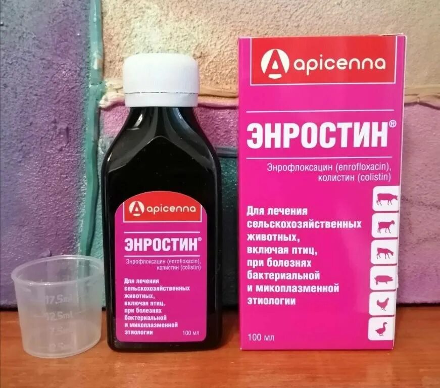 Энростин 100мл. Лекарство энростин. Энростин 10 мл. Антибиотик для птиц энростин.