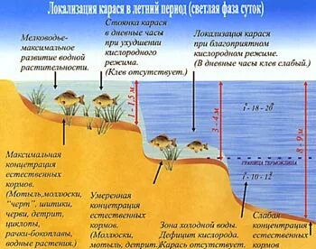 Давление для рыбалки весной для карася