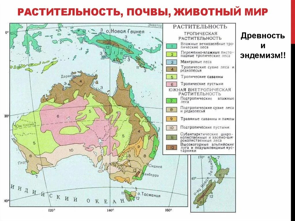 Типы почв Австралии на карте. Карта растительности Австралии. Почвенная карта Австралии. Почвенные ресурсы Австралии карта. Условные знаки австралии