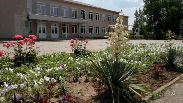 мкоу ленинская сош 1. ленинская общеобразовательная школа карасуского района. павлодар ленинский. герб ленинской школы. мбоу ленинская сош веселовский район.