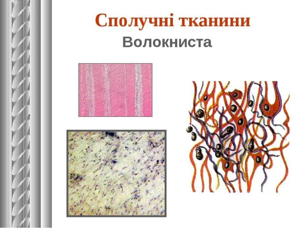 Ткань 9 класс