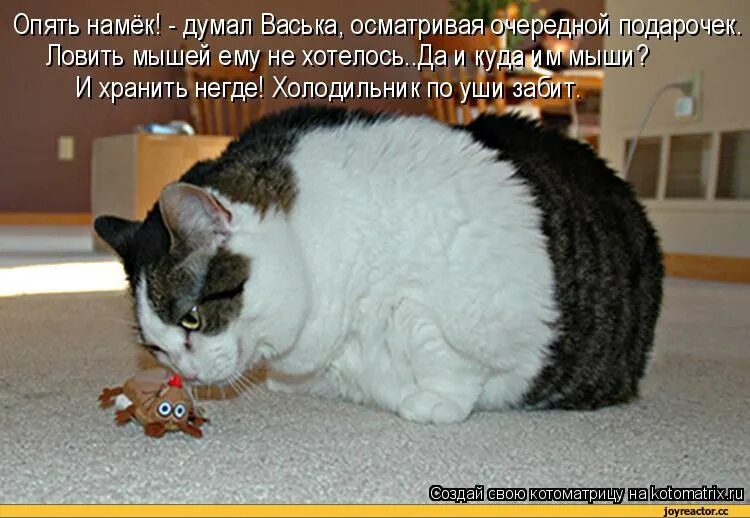 Анекдоты про котов смешные. Толстый кот с мышью. Приколы про толстых котов с надписями. Жирный кот с мышкой.