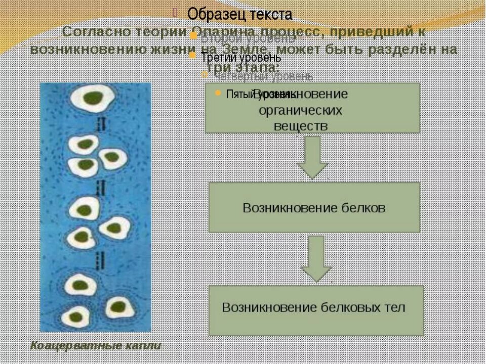 Этапы возникновения жизни на земле по опарину. Теория коацерватов опарина. биохимическая теория опарина. этапы коацерватной теории опарина. теория биохимической эволюции опарина.