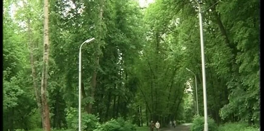 Рязань цпкио фото YugNash.ru