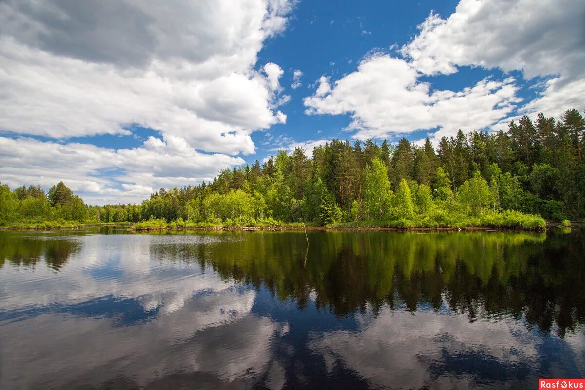 свирь карелия. лодейнопольский район: река свирь. свирь ладога. устье реки свирь. онежское озеро и река свирь.