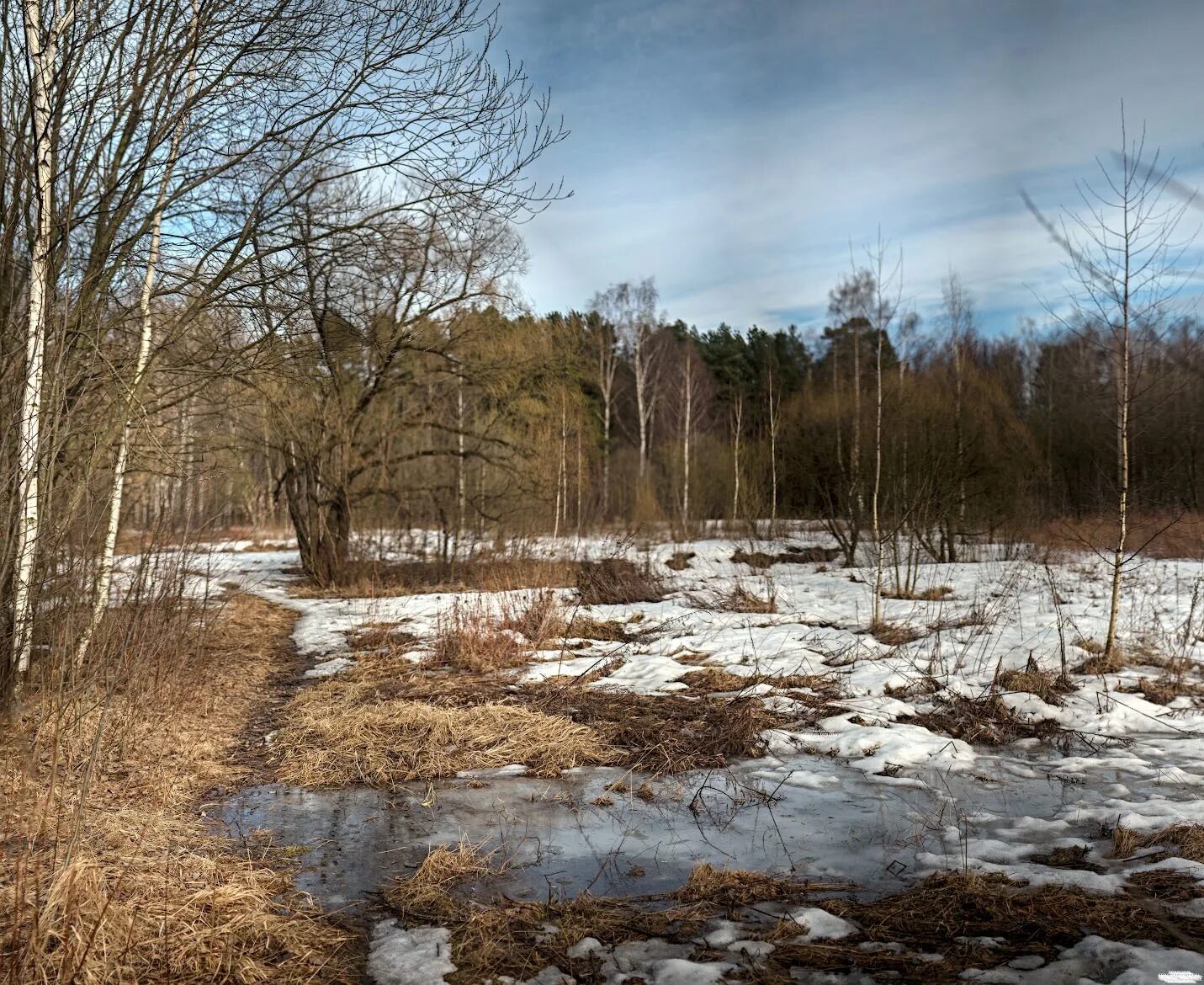 Лес весной. Мартовский лес. Описание пасмурного весеннего дня