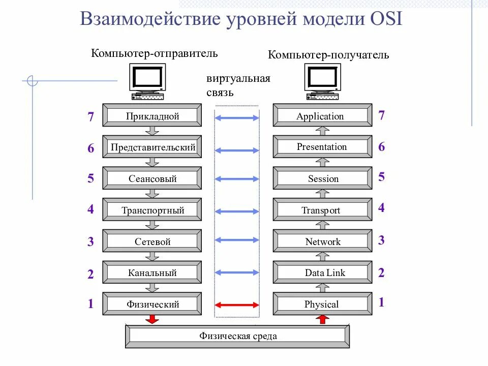 Сетевой уровень эталонной модели osi. Osi 7 эталонная модель. взаимодействие уровней модели osi. osi model уровни. сетевая модель osi протоколы.