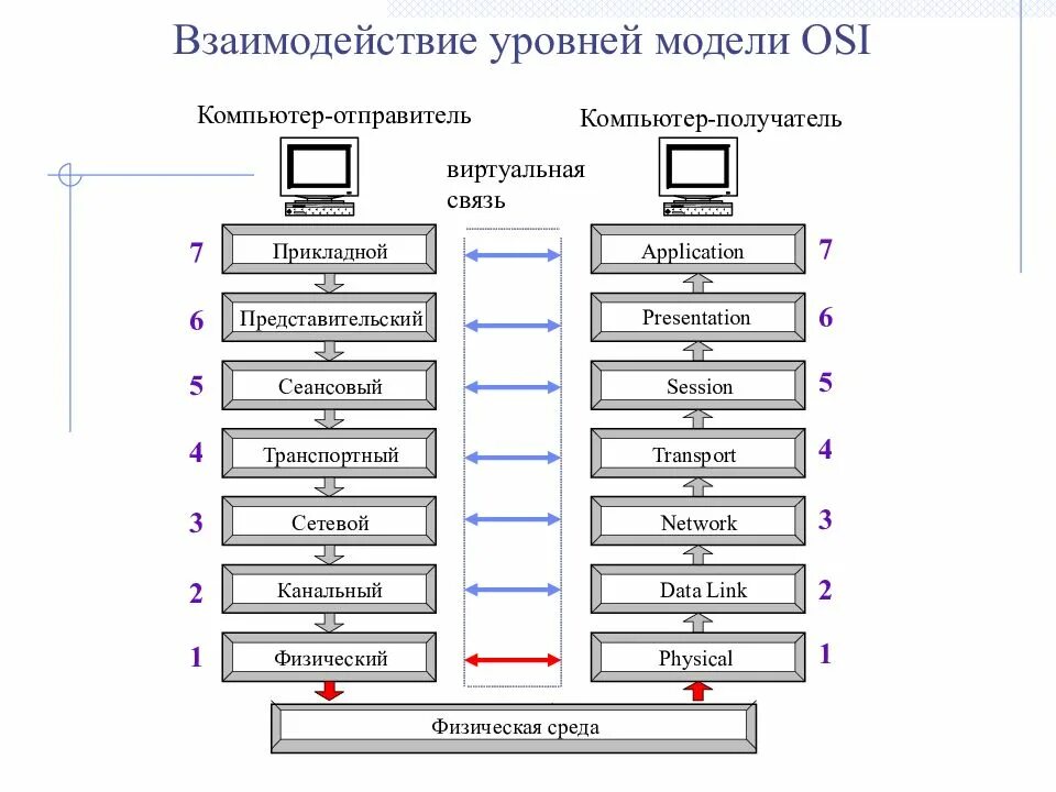 Сеть 3 уровня. Osi 7 эталонная модель. Взаимодействие уровней модели osi. Osi model уровни. Сетевая модель osi протоколы.