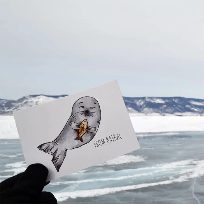 Privet baikal. Privet baikal. Привет с байкала. Привет с байкала. Privet baikal.