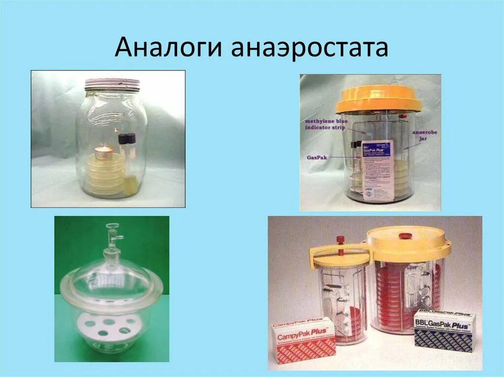 Метод фортнера. Методы культивирования анаэробных микроорганизмов. анаэростат микробиология. методы культивирования анаэробных бактерий. физические методы культивирования.