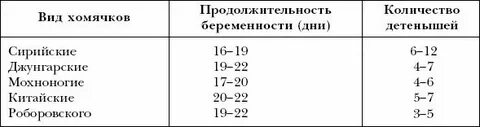 Почему не приходят деньги с хомяка