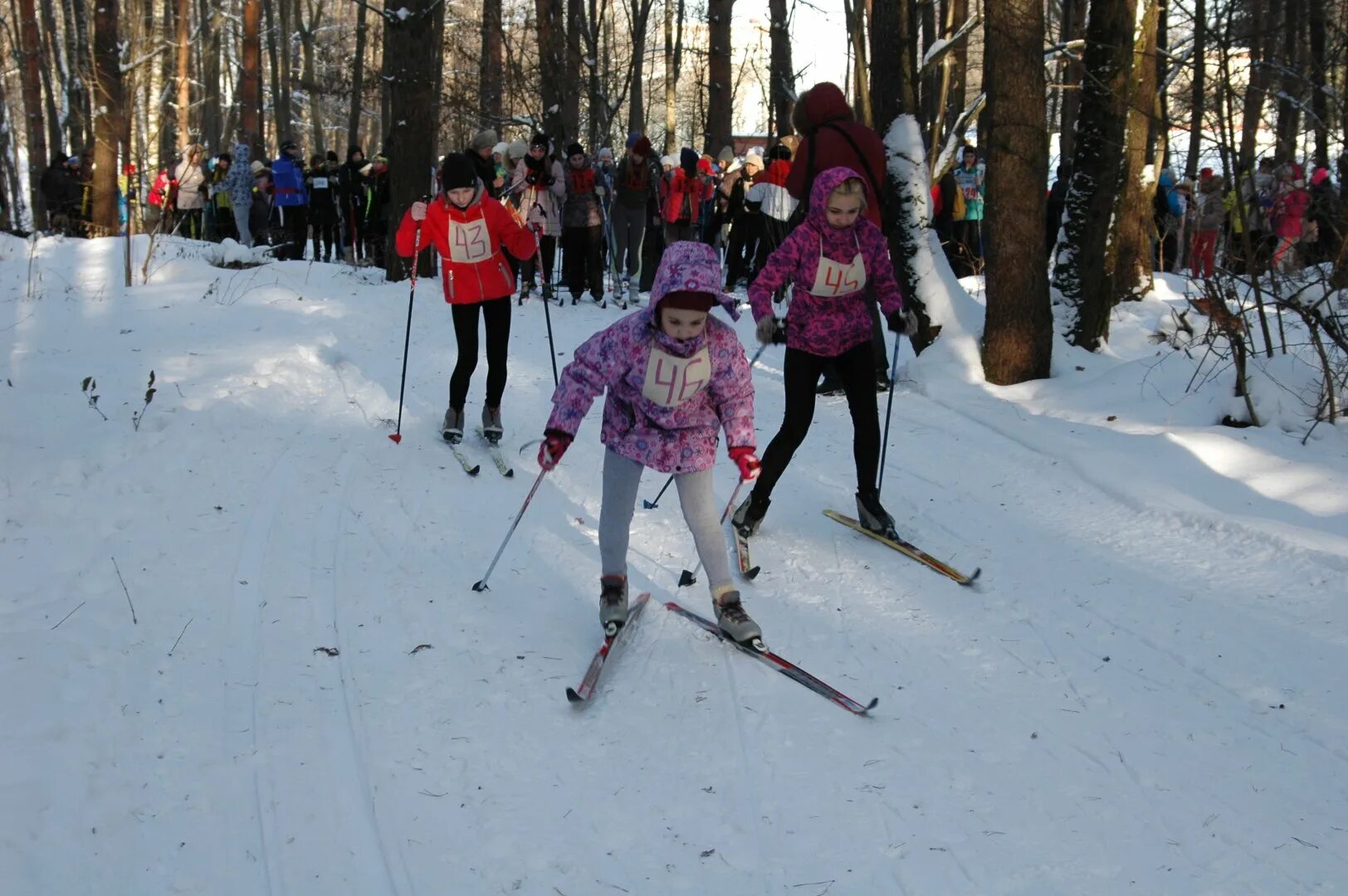 Школьники на лыжах. Лыжи в школе. Катание на лыжах в школе. Лыжный спорт в школе. Лыжи ребенку в школу