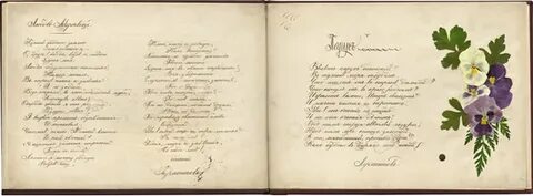 Дневник барышни