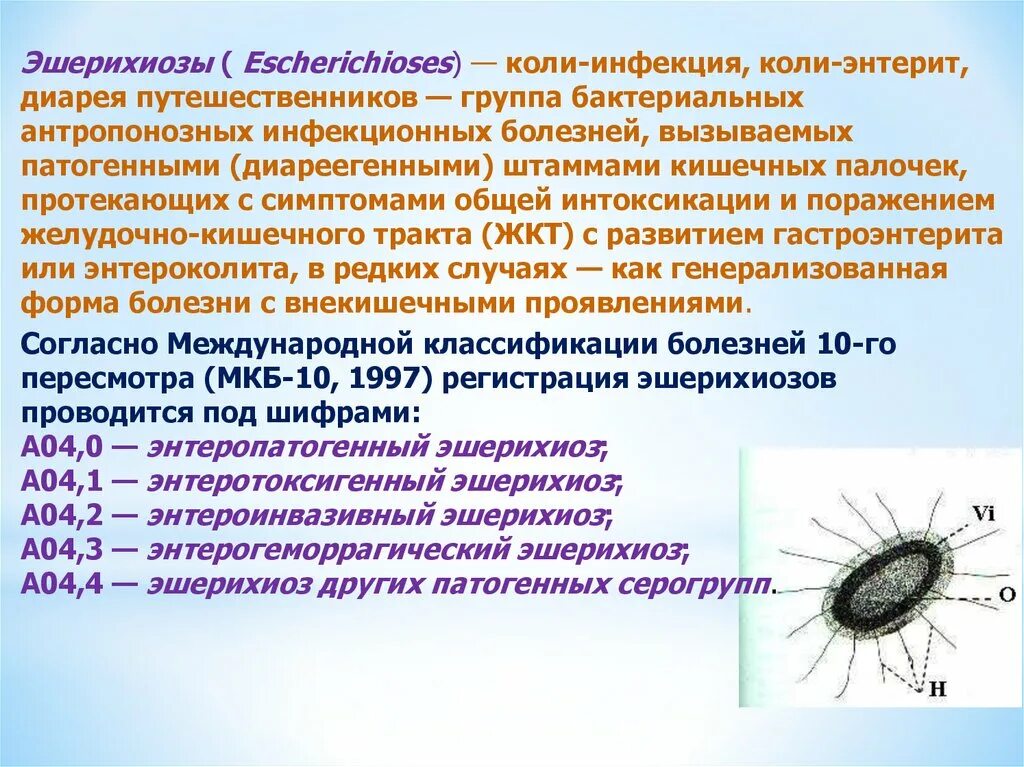 Энтероинвазивные штаммы кишечной палочки. Кишечная инфекция эшерихиоз коли. Патогенные серовары кишечной палочки. Эшерихия коли возбудитель. Сальмонеллез мкб