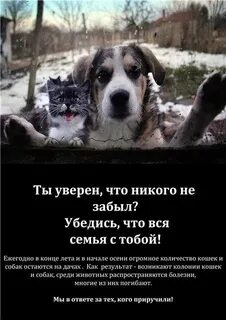 Не оставляй меня на даче