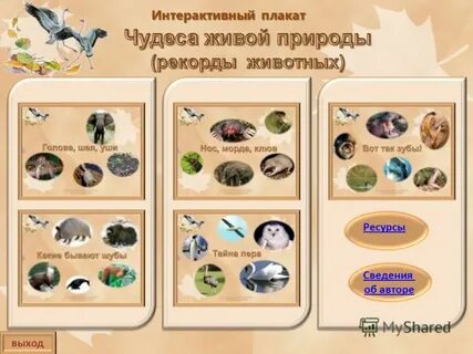 Создать интерактивный плакат на русском языке